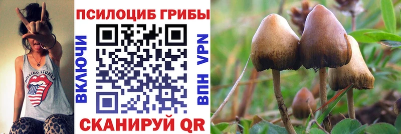 Псилоцибиновые грибы MAGIC MUSHROOMS  ссылка на мегу ССЫЛКА  Сафоново  магазин продажи наркотиков 